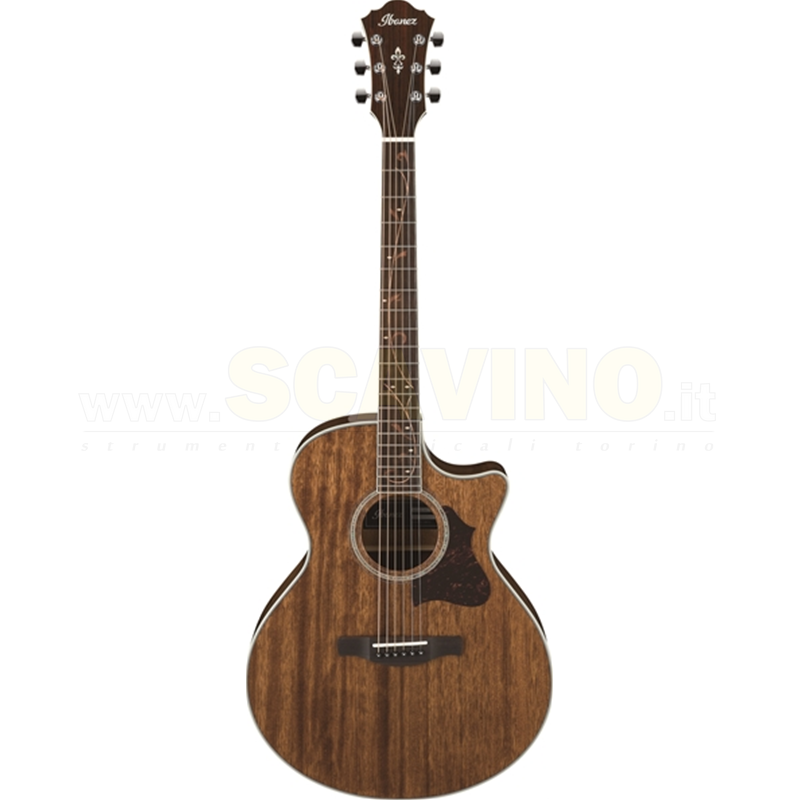 Ibanez AE245NT Chitarra acustica elettrificata Signature 6 corde finitura Natural High Gloss