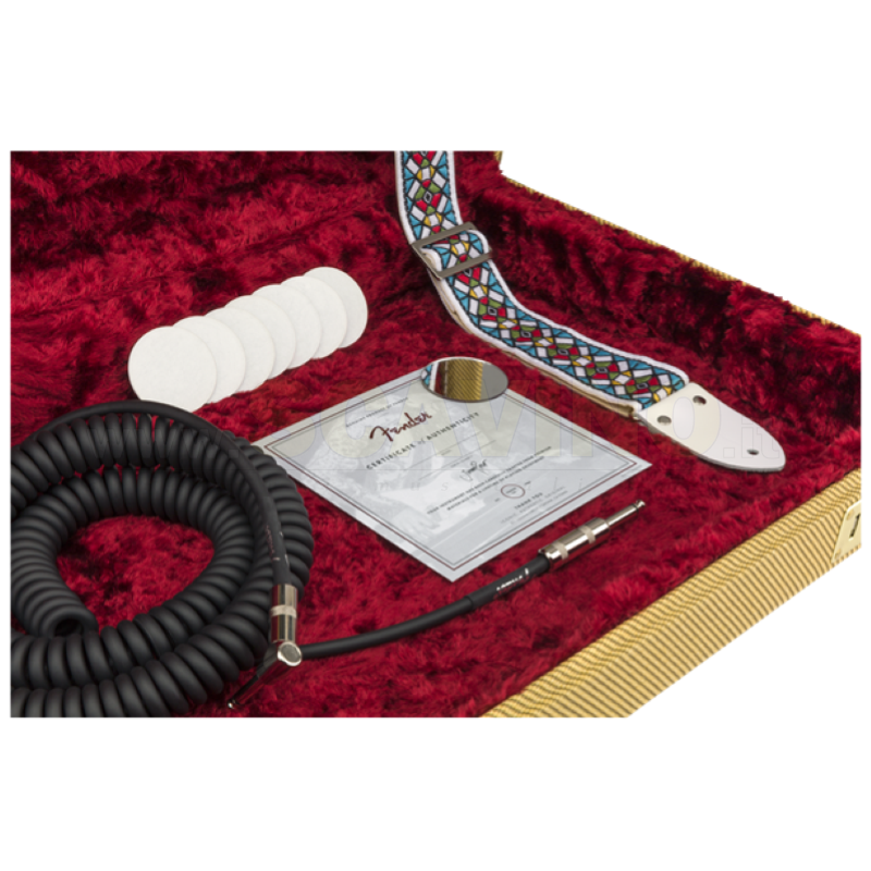 Fender Jimmy Page Mirror Telecaster  White Blonde 0119210801 