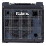 Roland KC200 Amplificatore per Tastiera