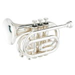 Carol Brass CPT3000-GLS-S Tromba Pocket in Sib con Campana in Goldbrass Argentata
