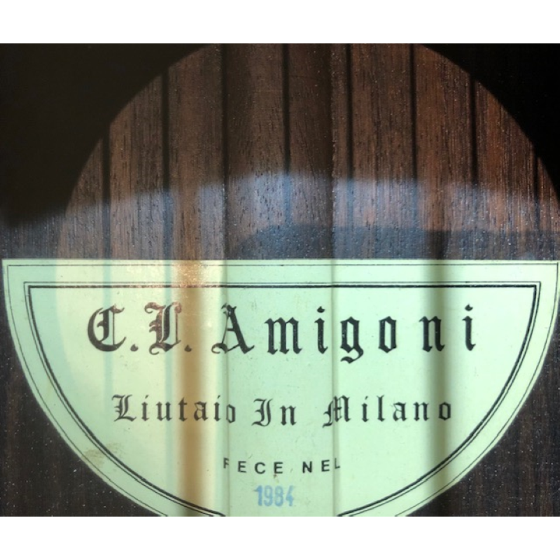 Chitarra 10 Corde Concerto Amigoni