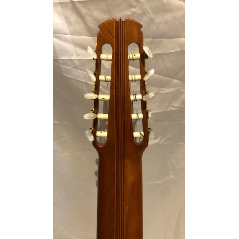 Chitarra 10 Corde Concerto Amigoni