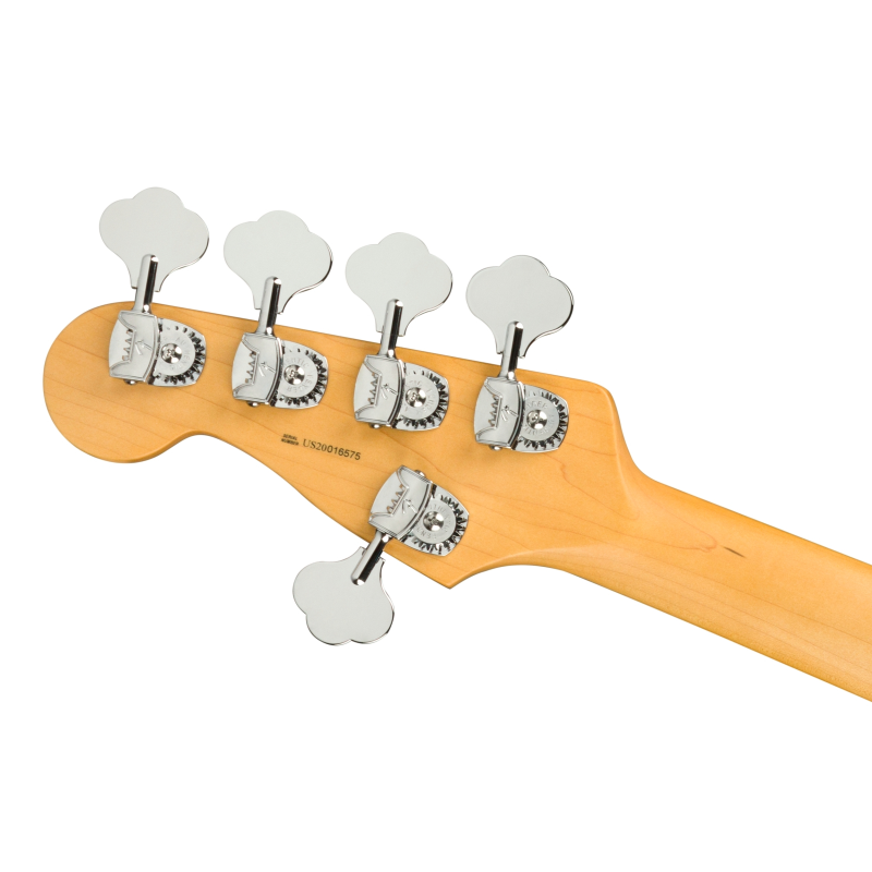 Fender American Professional II Precision Bass® V Maple Fingerboard, Dark Night 0193962761