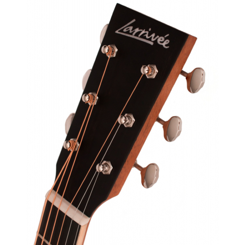 Larrivee D-40 Rosewood