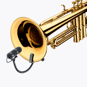 Microfoni per Tromba, Trombone