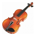 JOHAN BRUCK BRUCK P100 BY PRIMA VIOLINO 1/4