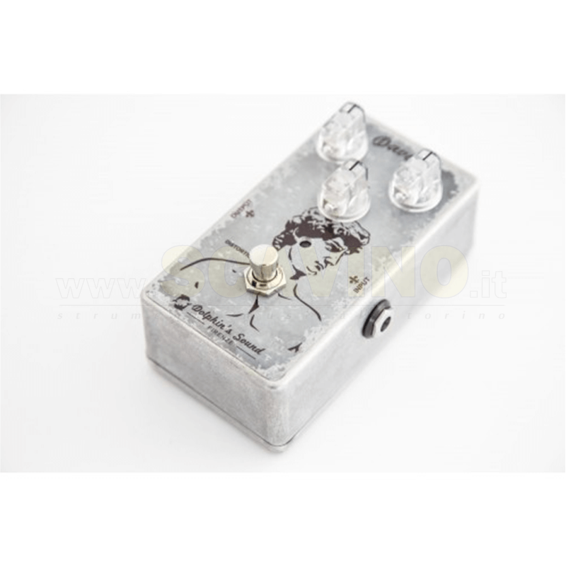 Dolphin's Sound David Distortion 