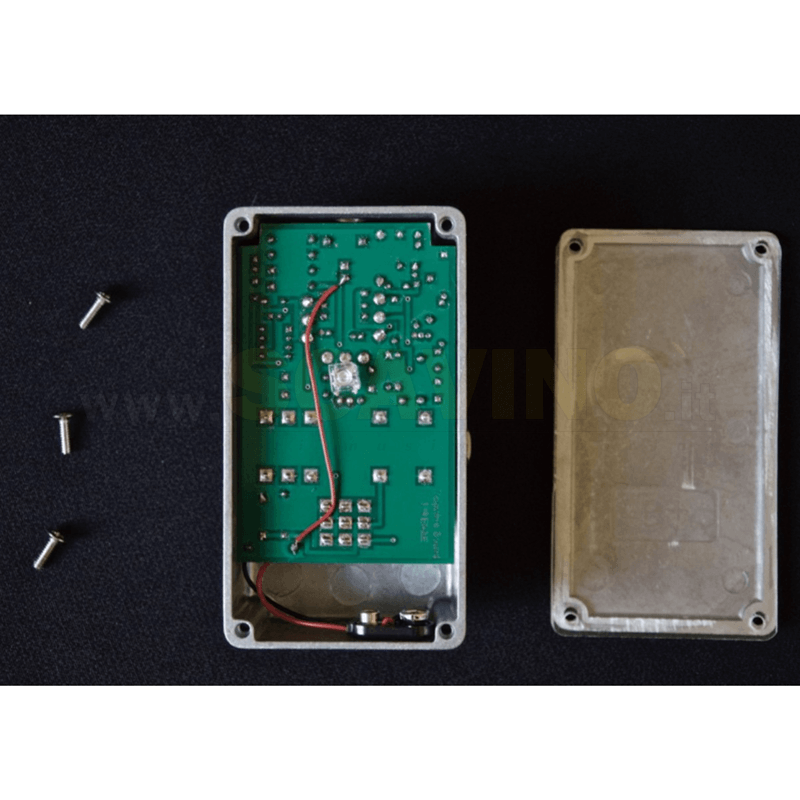 Dolphin's Sound David Distortion