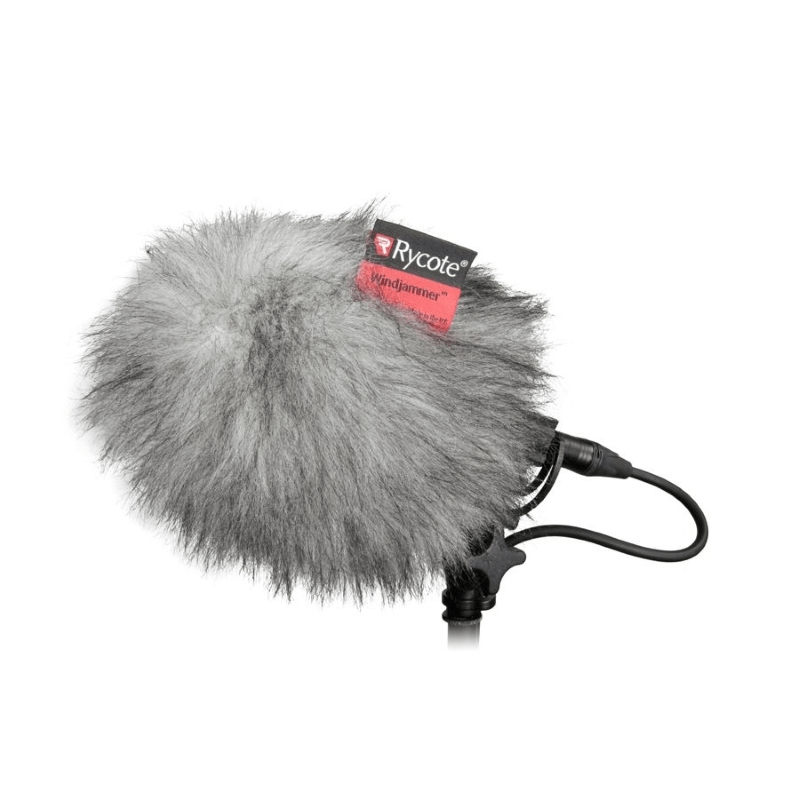 RYCOTE MICROPHONE 021801