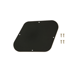 Gibson PRCP-010 Control Plate Black