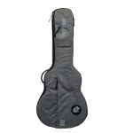 Ritter Borsa Carouge Chitarra Elettrica Hollowbody Elephant Grey RGC3-SA/EGR