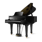 Usato Roland GP609PE Polished Ebony Pianoforte Digitale Nero Lucido 
