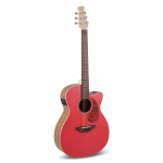 Applause AEO-69-R Chitarre elettroacustiche Jump OM Cutaway Electro