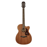 Richwood A-50-CE Chitarra acustica auditorium elettrificata