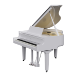 Roland GP9 PW Polished Ebony Pianoforte Digitale a Coda Bianco Lucido