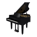 Roland GP9 PE Polished Ebony Pianoforte Digitale a Coda Nero Lucido