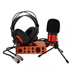 ESI U22XT Cosmik Set Kit per la Registrazione con Interfaccia Audio Microfono a Condensatore e Cuffie