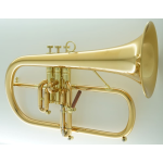 Carol Brass CFL8880-GSS-Bb-L Flicorno Soprano Laccato