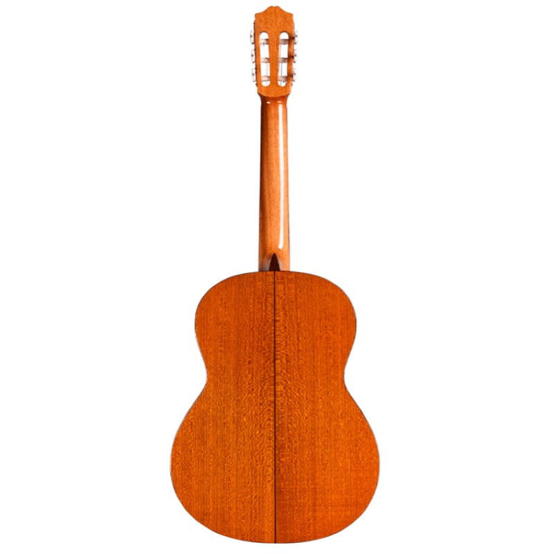 Cordoba Iberia C5 SP Top Abete