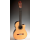 Alhambra 9P CW E8 chitarra elettro-classica con astuccio 