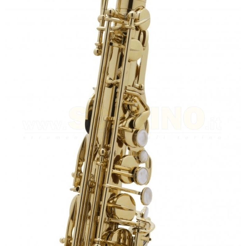 Selmer Axos Sax Alto Laccato