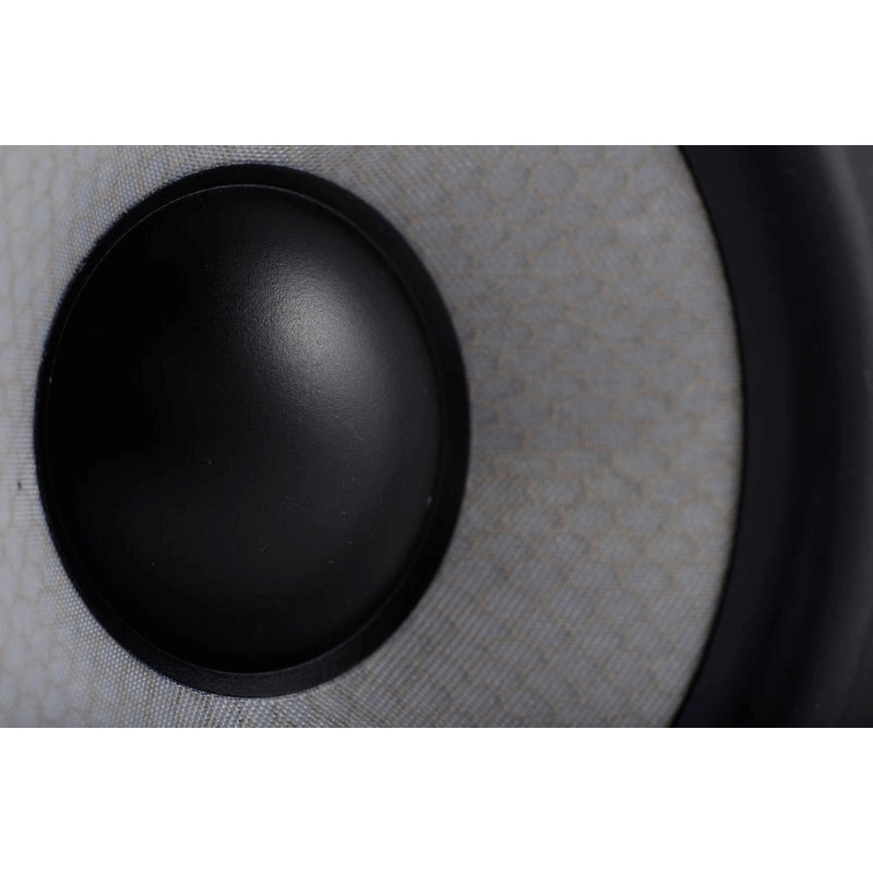 EVE audio SC305 monitor attivi a 3 vie