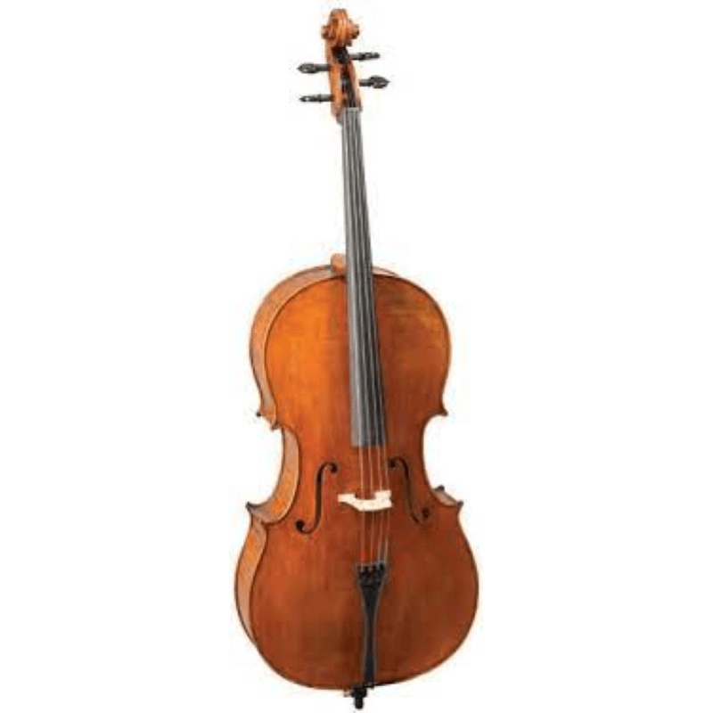 Bruck Cello C110EU 4/4 Tavola Massello by Reghin