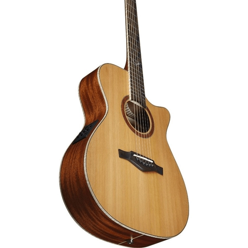 Eko Guitars Evo A350ce chitarra acustica elettrificata