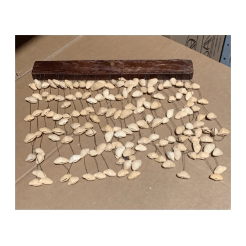 CHIMES OYSTER SONAGLIO WIND CON SEMI DI GIUGGIOLA