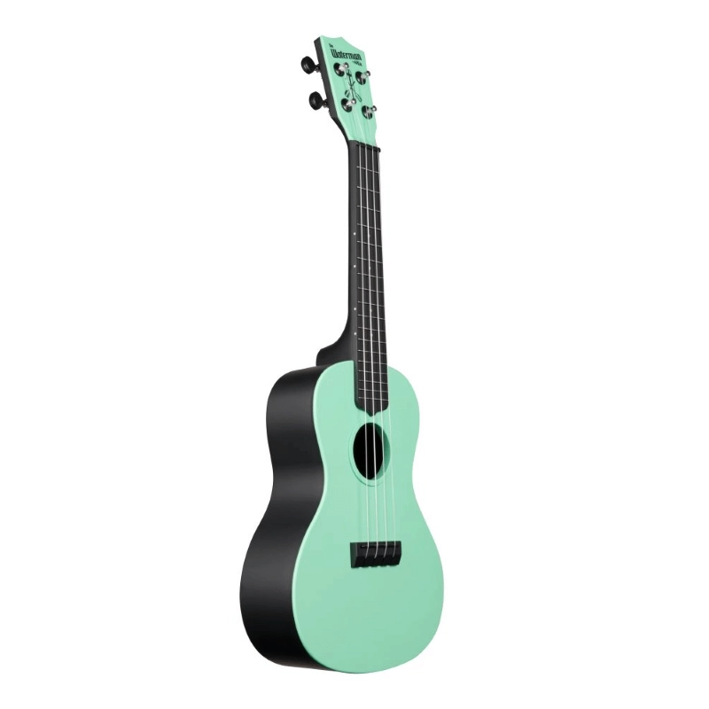 Kala KA-CWB-GN - Ukulele concerto Waterman - Sea Foam Green Matte - c/borsa