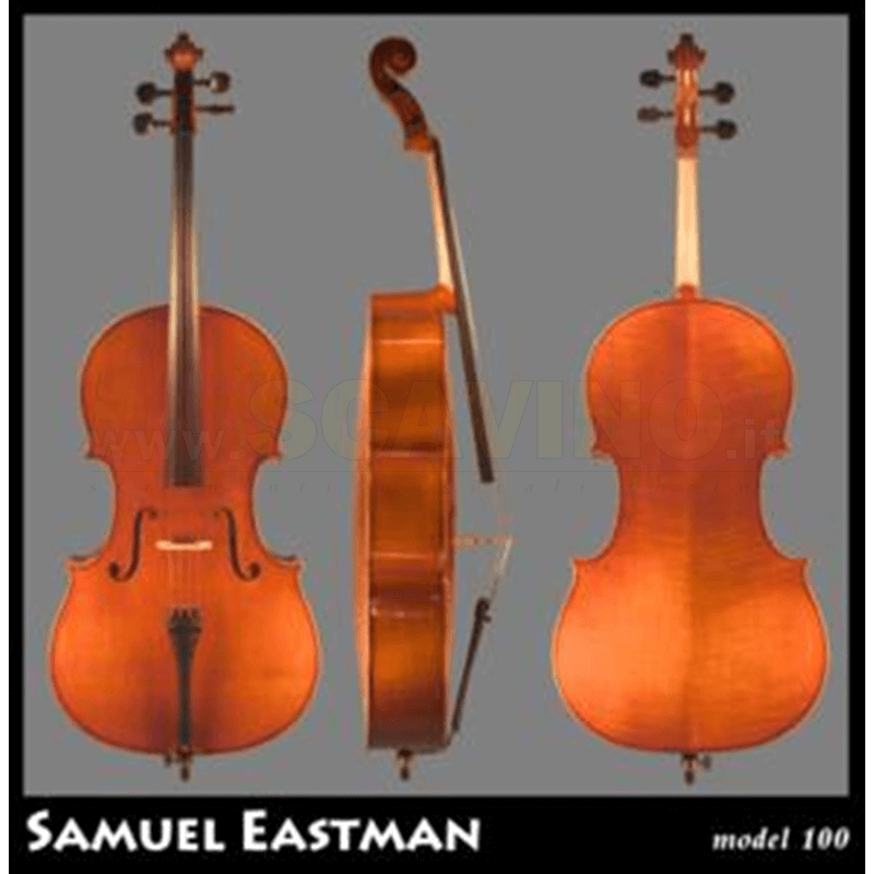 EASTMAN VC150 Cello Samuel Eastman 4/4