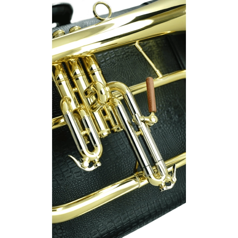 Carol Brass CFL6200-YSS Flicorno Soprano in Sib Laccato