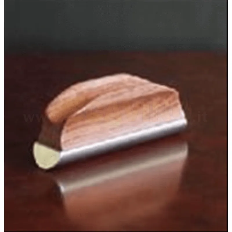 SHUBB GS1 SLIDE GUITAR STEEL