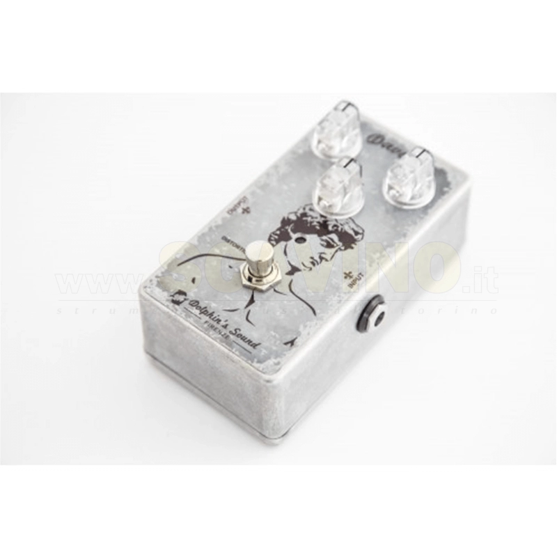 Dolphin's Sound David Distortion