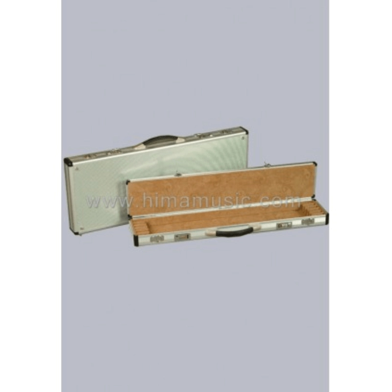 MUSIC POOL ASTUCCIO 24 AI VIOLINO 6005BW