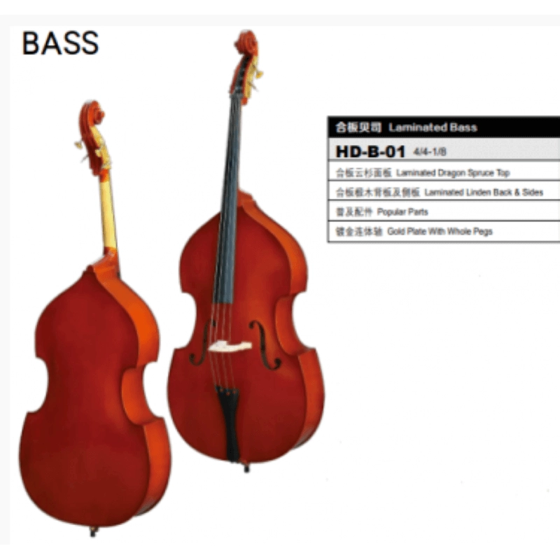 Bruck C/Basso 3/4 HDB-01 Laminato con arco e borsa