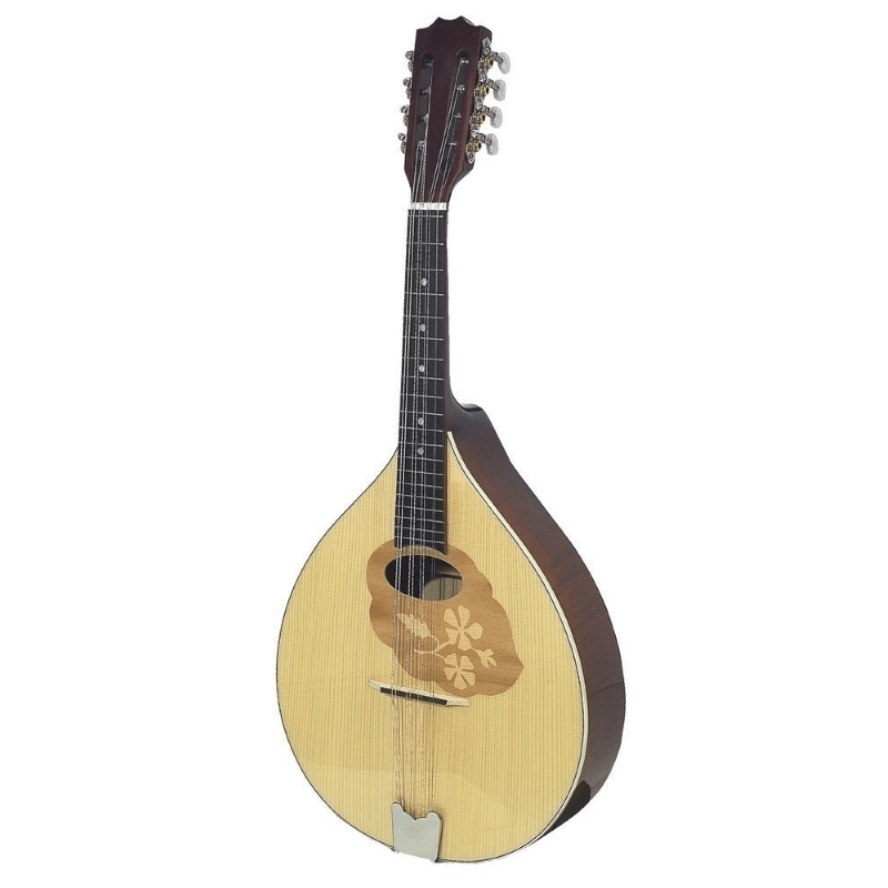 Mandola GEWA Pro Arte