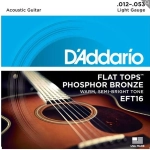 D'addario EFT16 Corde Flat Chitarra Acustica 12-53 Phosforo