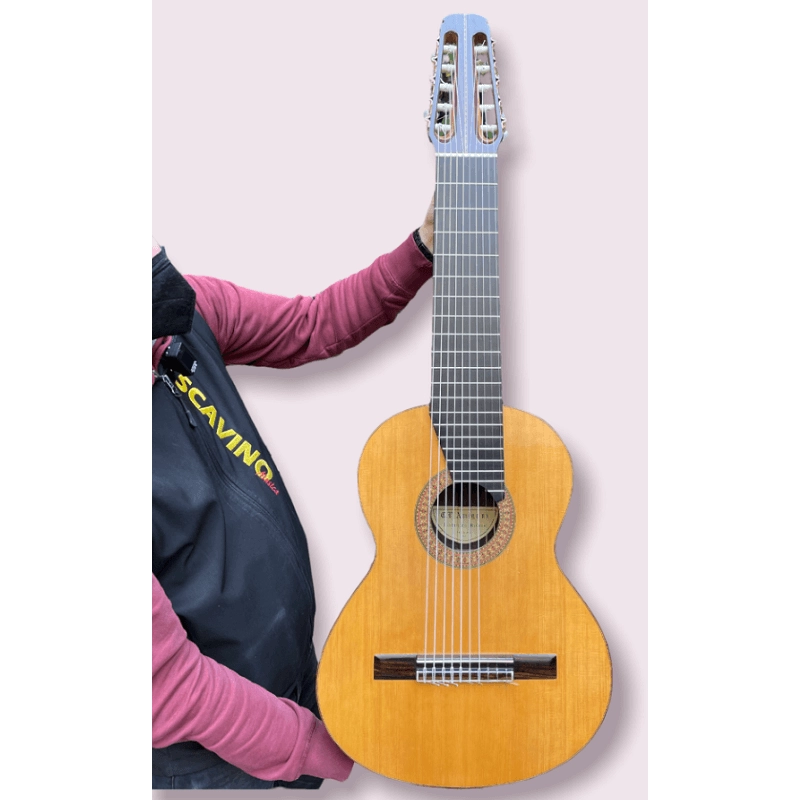 Chitarra 10 Corde Concerto Amigoni