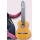 Chitarra 10 Corde Concerto Amigoni