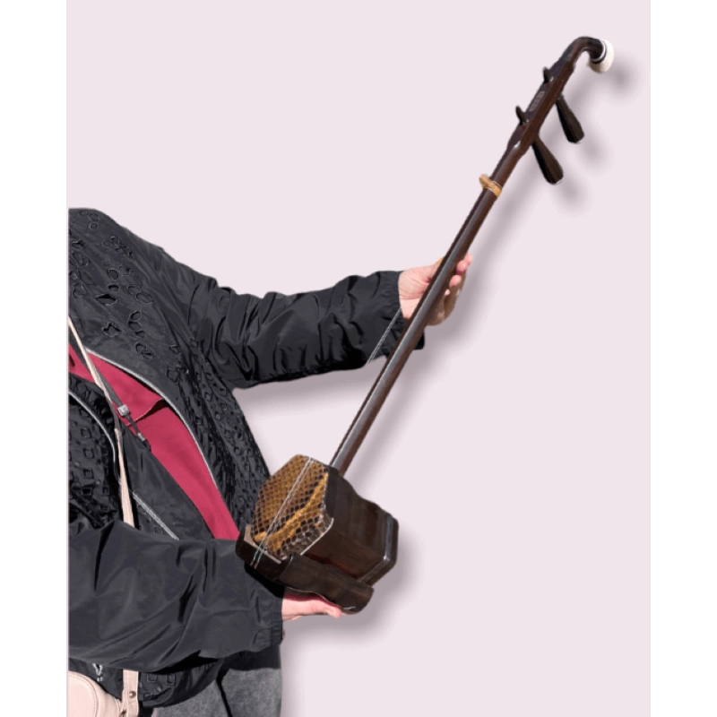 Erhu 2 Violino Cinese Qualità Buona