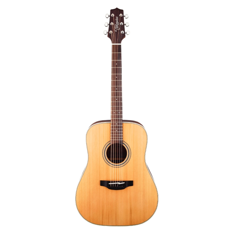 Takamine GD20-NS - Chitarra 6 corde dreadnought - Serie G Series