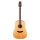 Takamine GD20-NS - Chitarra 6 corde dreadnought - Serie G Series