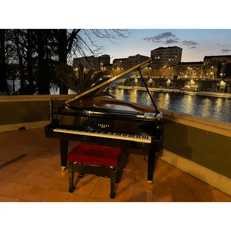 7ae64007-d63b-454d-815d-0d0435000b6b