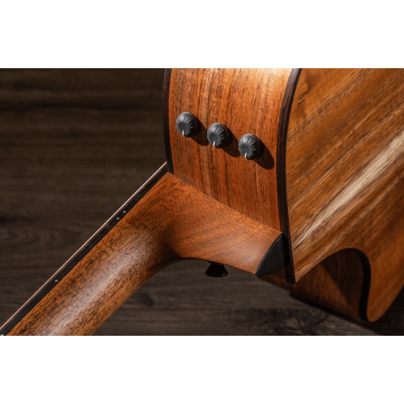 Taylor 724ce ,Koa(Select)/Koa(Select)