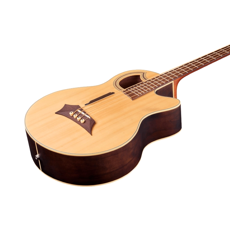 Warwick Alien Deluxe 4 - Rockbass Series - Basso Acustico 4 Corde