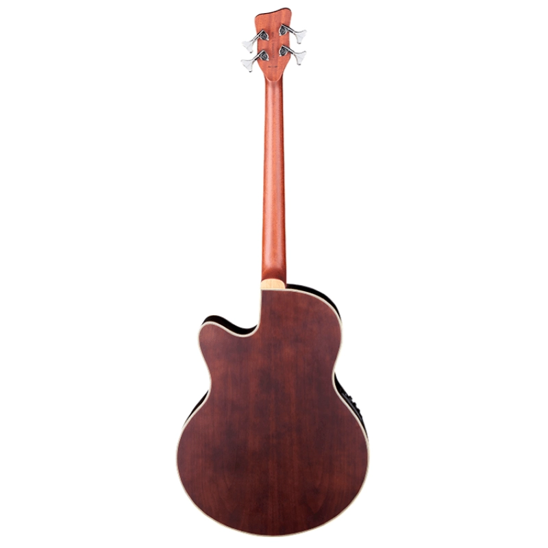 Warwick Alien Deluxe 4 - Rockbass Series - Basso Acustico 4 Corde