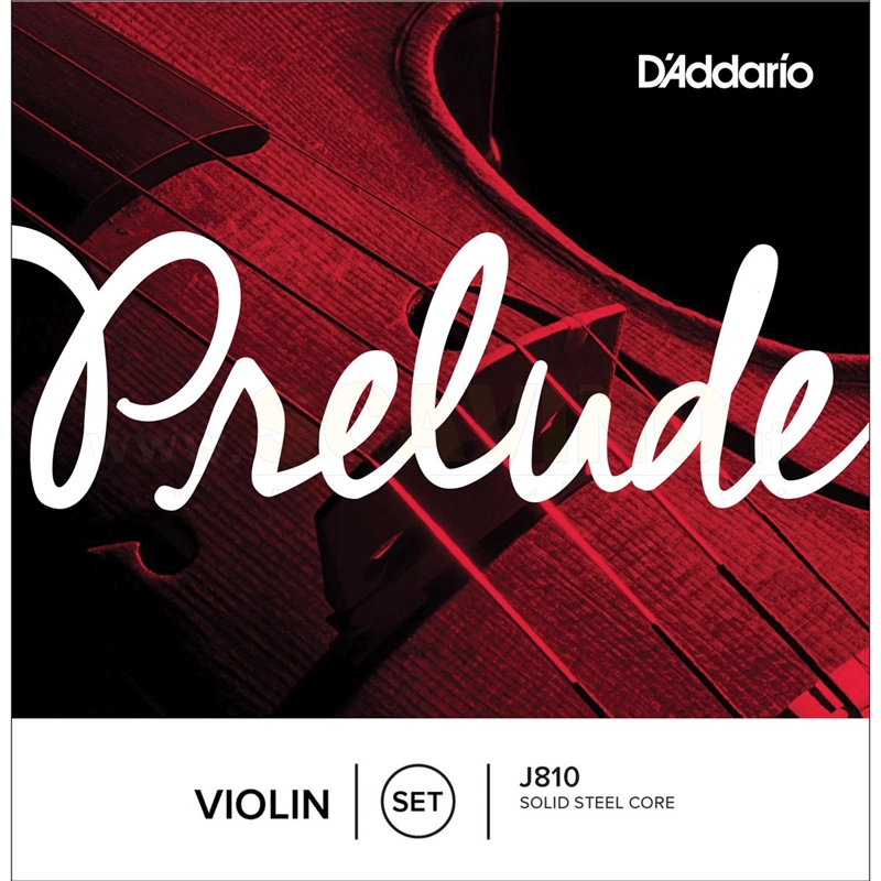 D'addario J810 1/2 Medium Set Corde per Violino