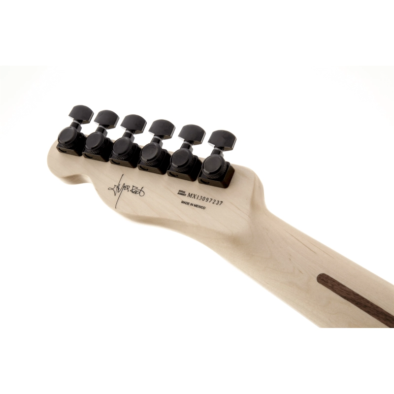 Fender signature Jim Root Telecaster® Ebony Fingerboard, Flat White 0134444780