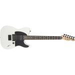 Fender signature Jim Root Telecaster® Ebony Fingerboard, Flat White 0134444780